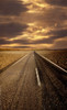 Desert Road Photo Backdrop