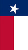 Texas Flag Backdrop
