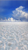 Sand Flats Backdrop