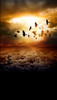 Birds in the Clouds Backdrop