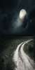 Road to the Full Moon
