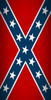 Confederate Pride Backdrop