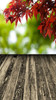 Tall Red Leaf Bokeh Backdrop