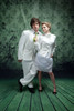 Fleur de Lis (Green) Backdrop