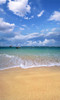 Sandy Beach Backdrop