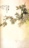 Asian Branches Backdrop