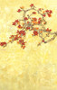 Autumn Branch Backdrop