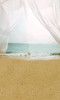 Beach Rendevous Backdrop
