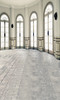 Oval Ballroom Backdrop