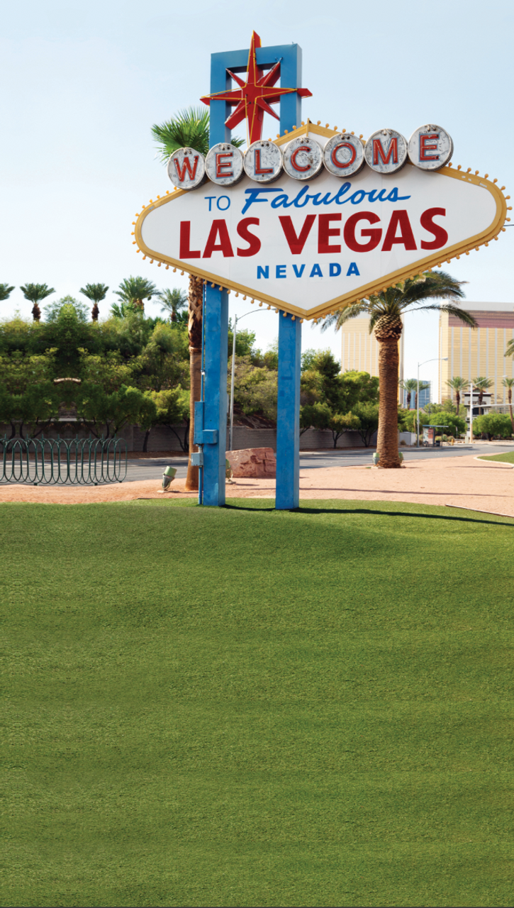 Welcome to Las Vegas Photography Backdrops