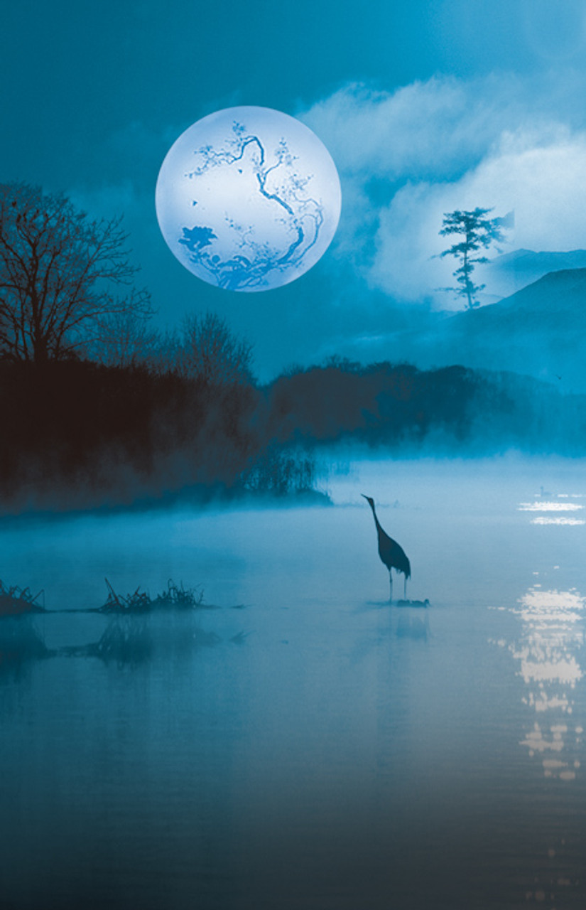Misty Midnight Pond Backdrop | Photo Pie