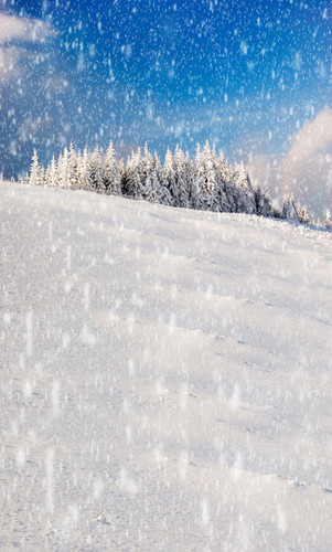 Snowy Hill Backdrop