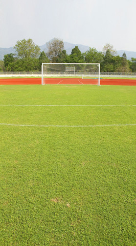 Soccer Backdrop