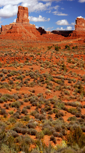 Western Frontier Backdrop