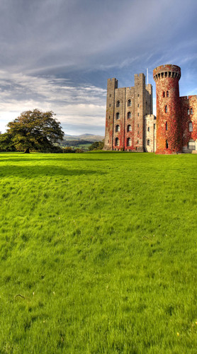 My Castle Backdrop