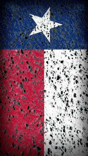 Texas Wall Backdrop