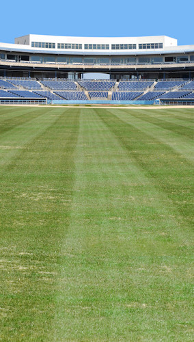 Baseball Field Backdrop