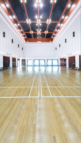 Volleyball Court Backdrop