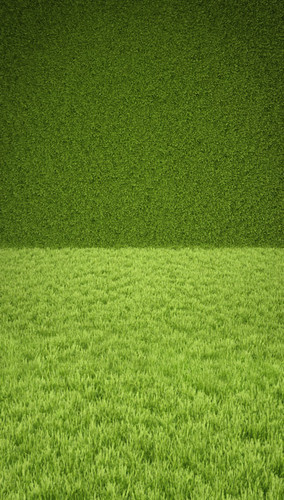 Nature's Green Screen Backdrop