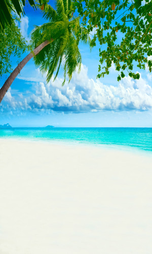 White Sands Backdrop