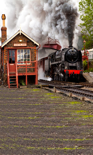 Train From Coathland Backdrop