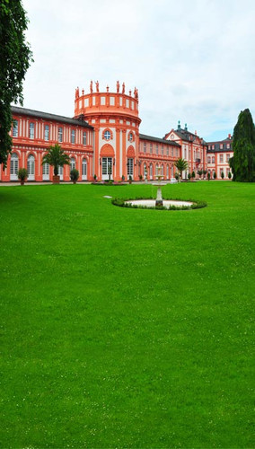 Abbey Green Backdrop