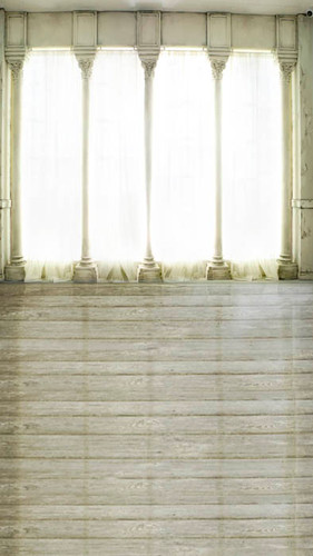 Delightful Dance Hall Backdrop Delightful Dance Hall Backdrop