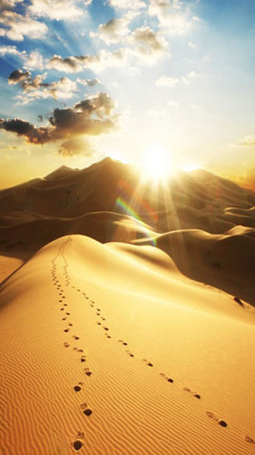 Dunes Backdrop