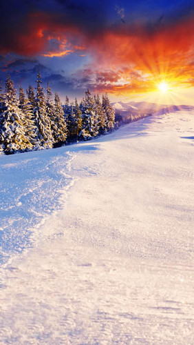 Christmas Sunburst Backdrop Christmas Sunburst Backdrop