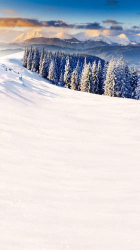 Snowy Mountaintop Backdrop