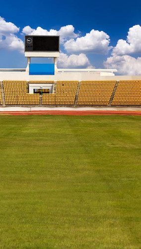 Stadium Field Backdrop