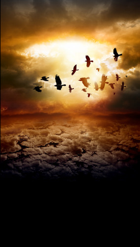 Birds in the Clouds Backdrop