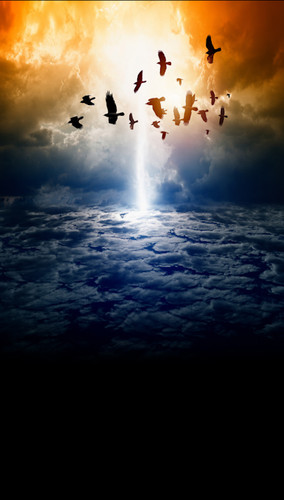 Flock in a Storm Backdrop