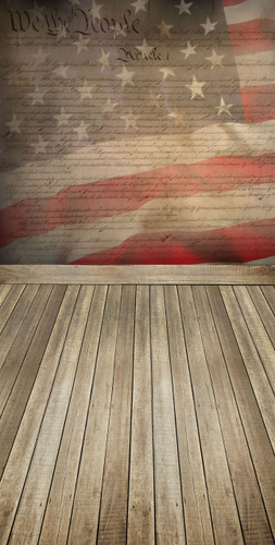 Constitution Flag Backdrop