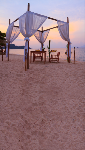 Tall Dinner on the Beach Backdrop