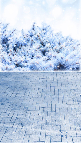 Blue Spruce Backdrop Tall