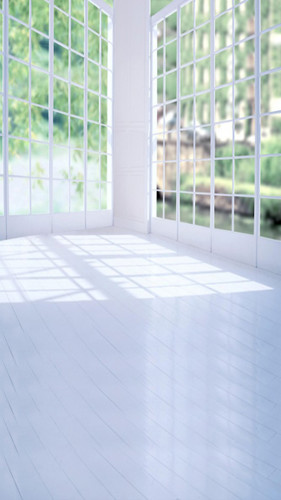 Window Room Backdrop