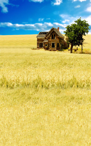 Abandoned Farm House Backdrop