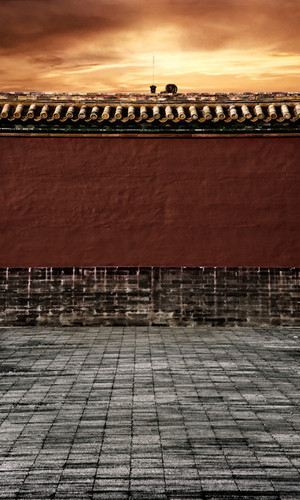 Forbidden City Wall Photography Backdrops