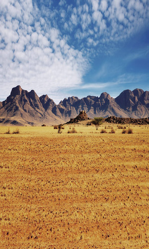 Desert Mountains Backdrop Desert Mountains Backdrop