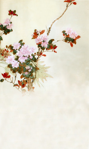 Early Spring Backdrop