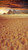 Egyptian Desert Backdrop