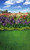 Flower Field Photo Backdrop