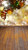 Tall Autumn Glimmer Bokeh Backdrop