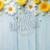 Square Cheerful Daisies Backdrop Square Cheerful Daisies Backdrop