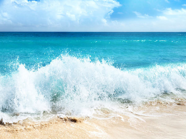 Beach/Tropical