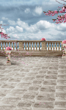 Cherry Blossom Balcony Backdrop