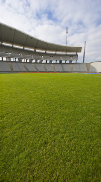 Sports Stadium Backdrop