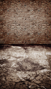 Grunge Brick Backdrop