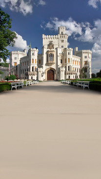 Castle Backdrop